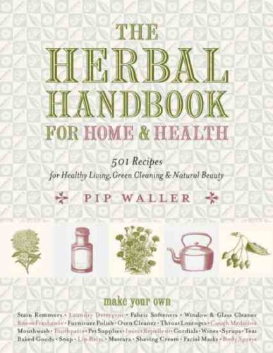 4 Natural First-Aid Remedies